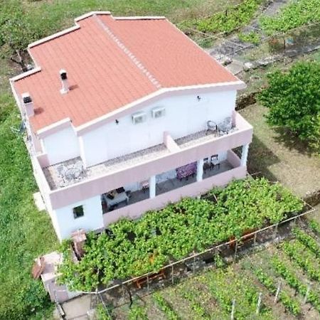 Vrzina Farm House Skadar Lake Вирпазар Экстерьер фото