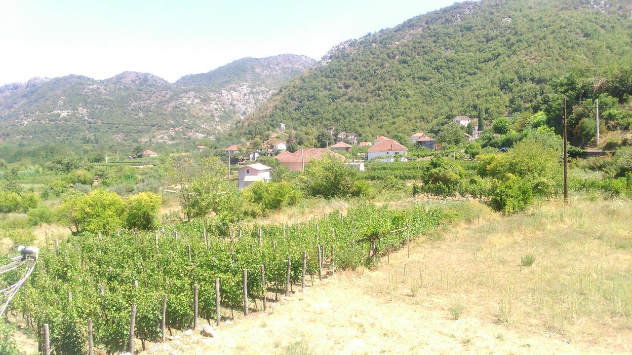 Vrzina Farm House Skadar Lake Вирпазар Экстерьер фото